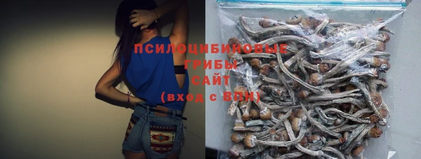 амф Абдулино